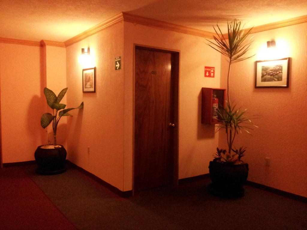 Hotel Siesta Del Sur Mexico City Exteriör bild